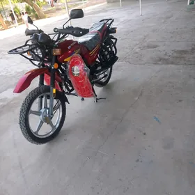 Fekon FK150-8G 2025