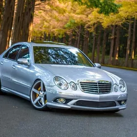 W211 2008 kansaner ince trupga