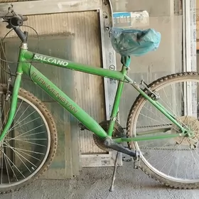 TURKMENISTAN TIGIR