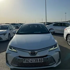 Toyota Corolla 2023