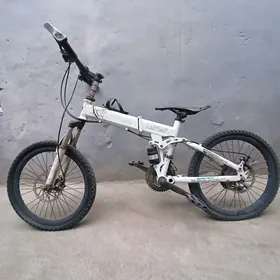 BMW tigir