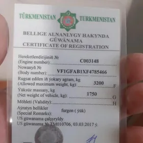 Teh pasport