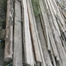 Agaçlar sökülen