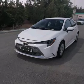 Toyota Corolla 2020
