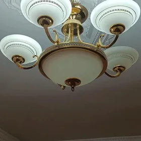 Lýustra