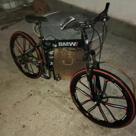 tigir bmw