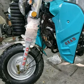 Ozan 200CC 2025