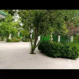 Yokarky kosi