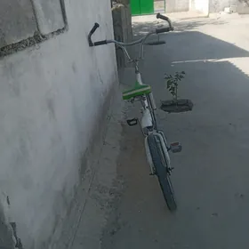 Duga tigir Olympia
