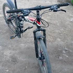 tigir 26 lyk