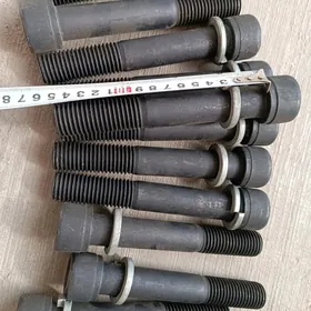 Bolt