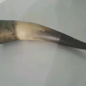 Сувенирный рог