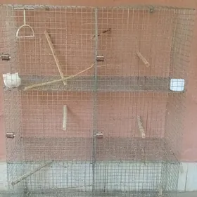 клетка