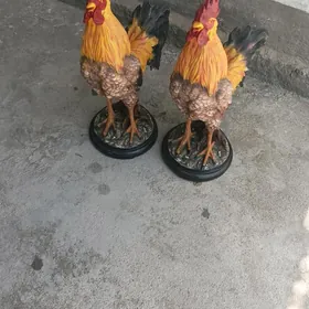 horoz