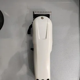 Wahl