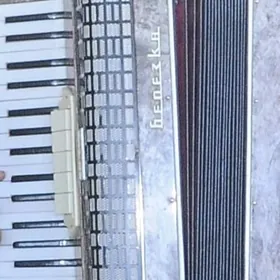 Akkordeon