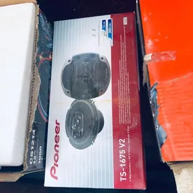 pioneer