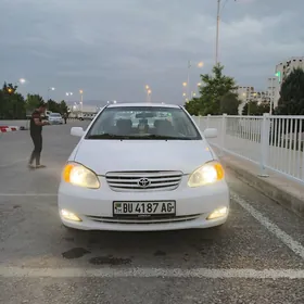 Toyota Corolla 2007