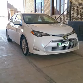 Toyota Corolla 2019