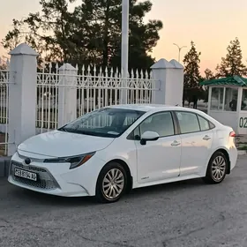 Toyota Corolla 2021
