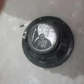 Pioneer kolonka