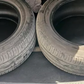 Teker Bridgestone 205.55.16