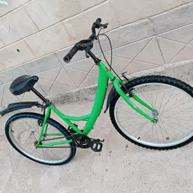tigir Turkmenistan 26