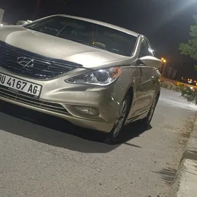Hyundai Sonata 2011