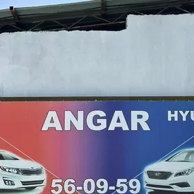 Kia Hyundai Morda