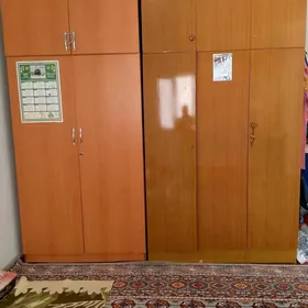 şfaner