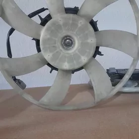 morda matorcik lopus toyota