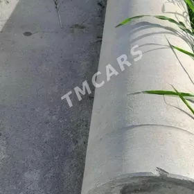 turba