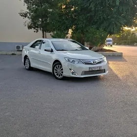 Toyota Camry 2013