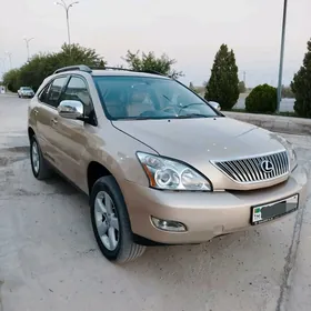 Lexus RX 330 2004