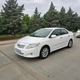 Toyota Corolla 2008