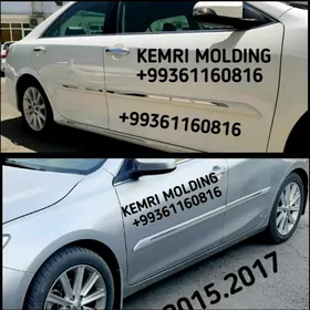 KEMRI MOLDING 2011.2017