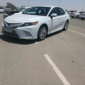 Toyota Camry 2019