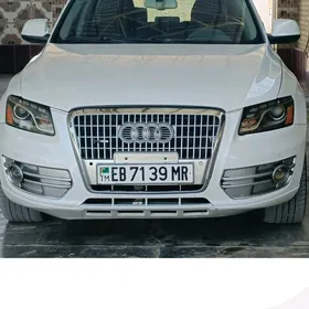 Audi Q5 2010