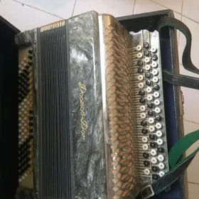 баян акордион