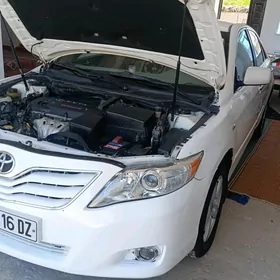 Toyota Camry 2010