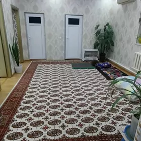 Дача анев