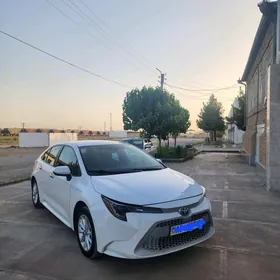 Toyota Corolla 2021