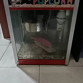 Pop corn