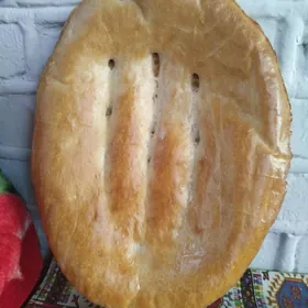 ýapyjy