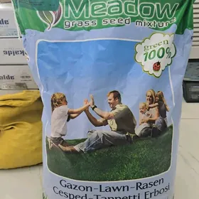 OT TOHUM GAZON