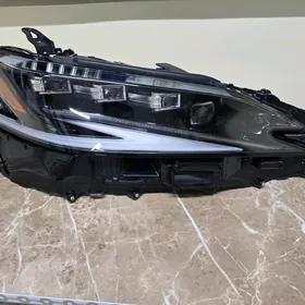 ES 2024 SAG TARAP FARA 4LUPA