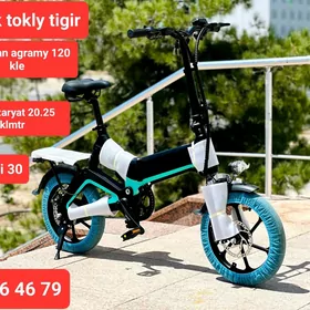 TIGIR BASEYKA MAŠYN KARŞOK