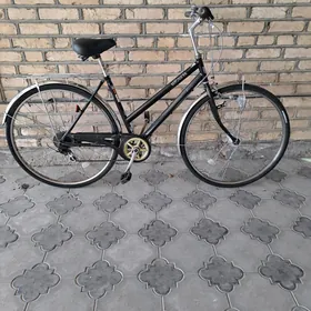 28 Welsopet