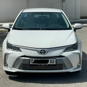 Toyota Corolla 2020