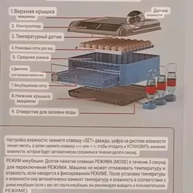 Inkubator